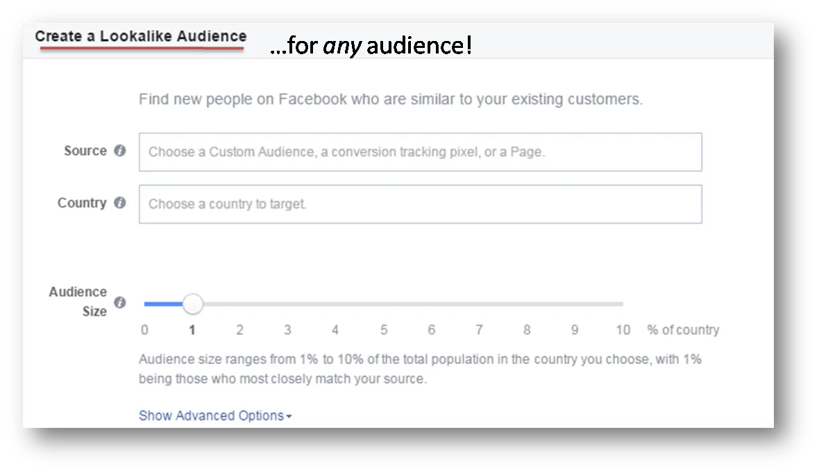 Facebook Lookalike Audience interface