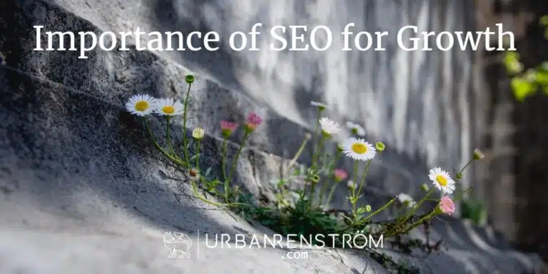 Boost Your Visibility: The Importance of SEO for Online Success