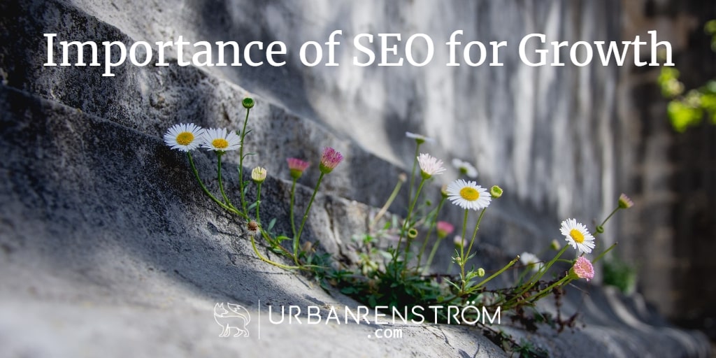 The Importance of SEO to Grow a Business